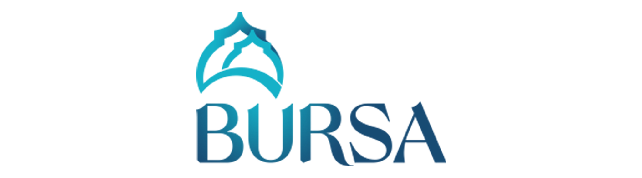 bursa-markalasiyor
