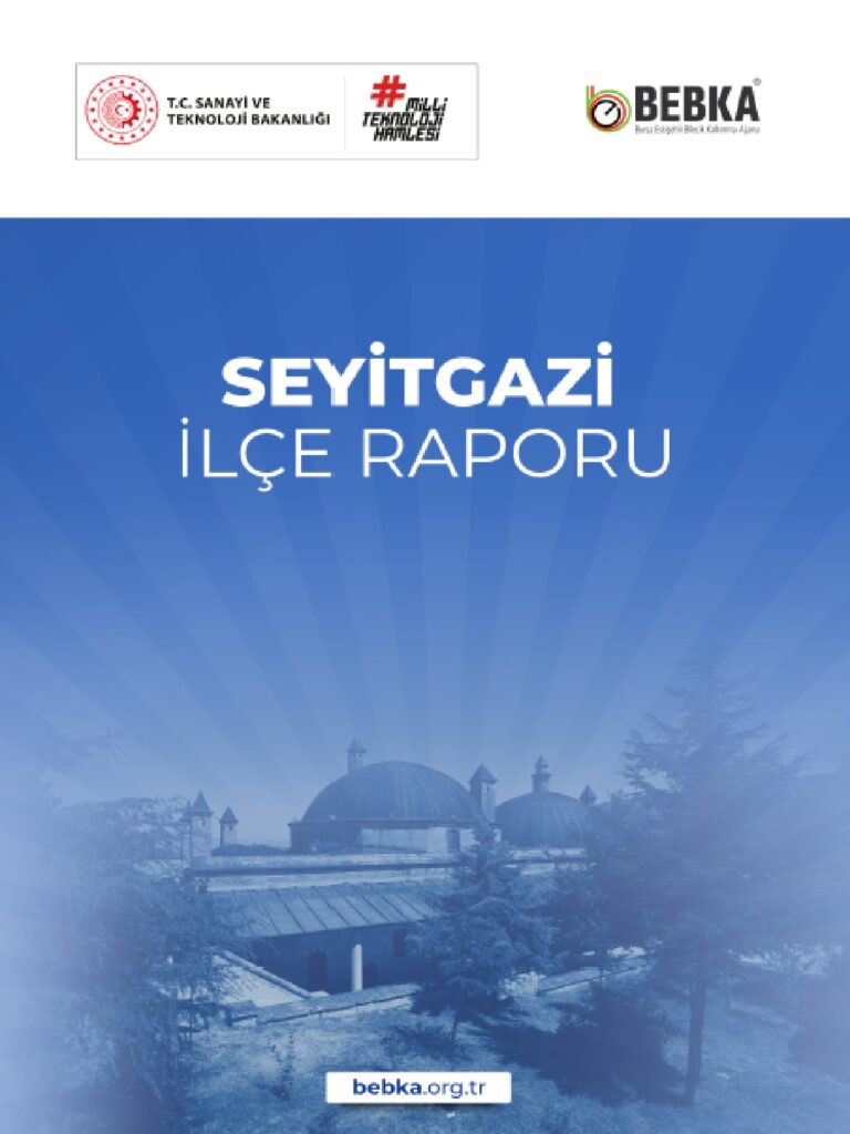 Eskişehir Seyitgazi İlçe Raporu BEBKA