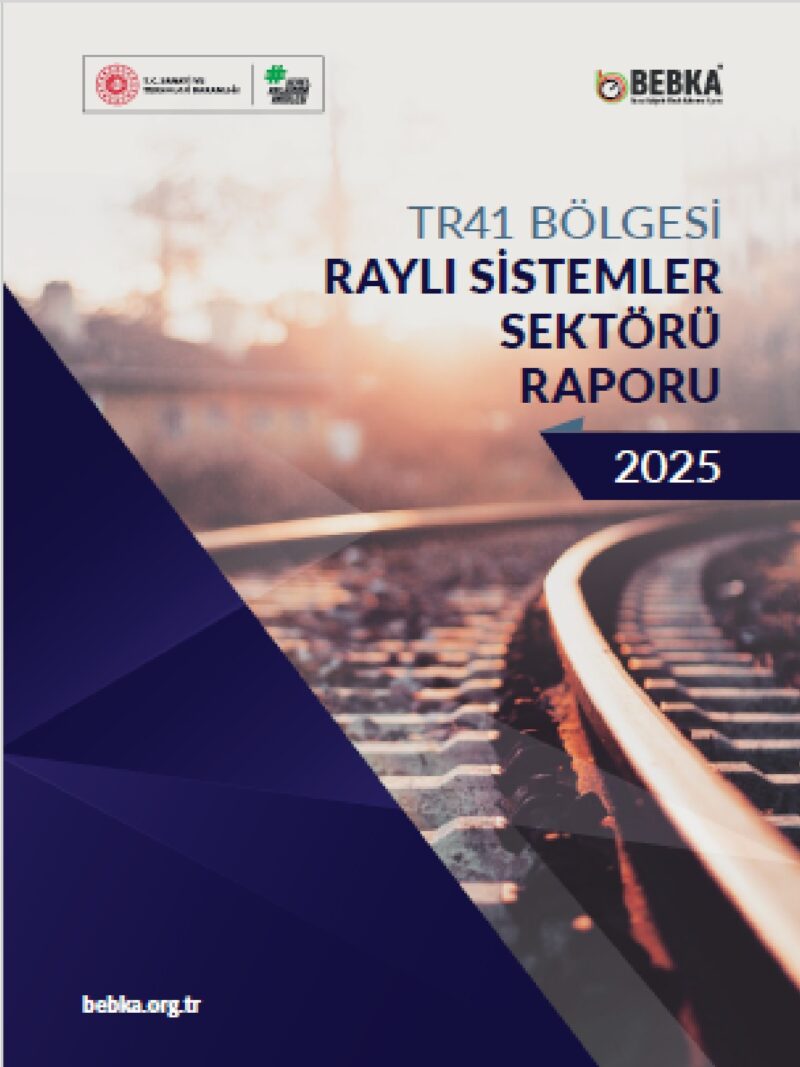 TR41 Bölgesi Raylı Sistemler Sektörü Raporu