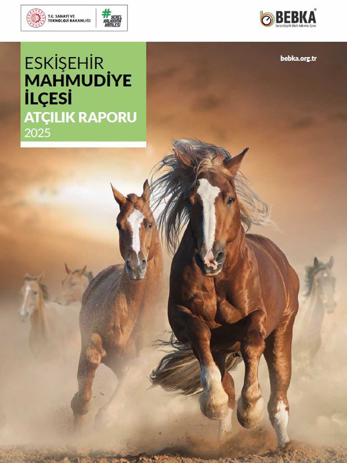 ESKİŞEHİR MAHMUDİYE İLÇESİ ATÇILIK RAPORU