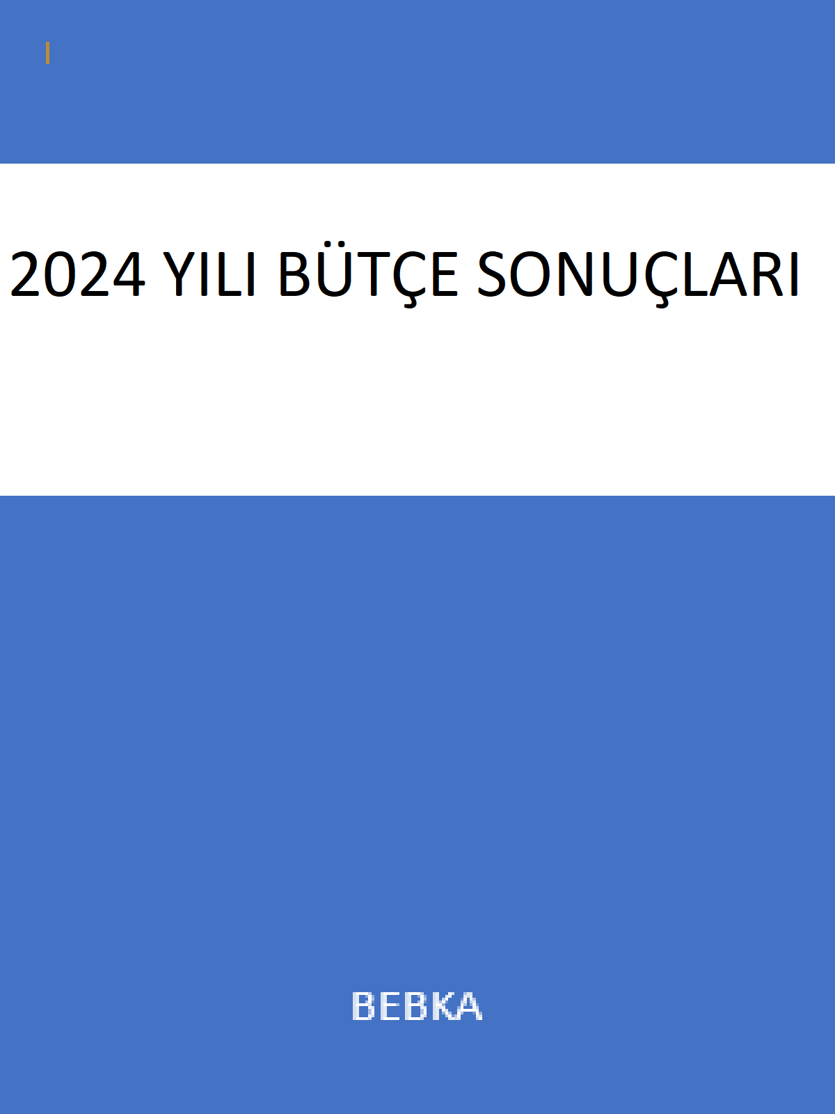 2024 Yılı Bütçe Sonuçları – 1. Çeyrek