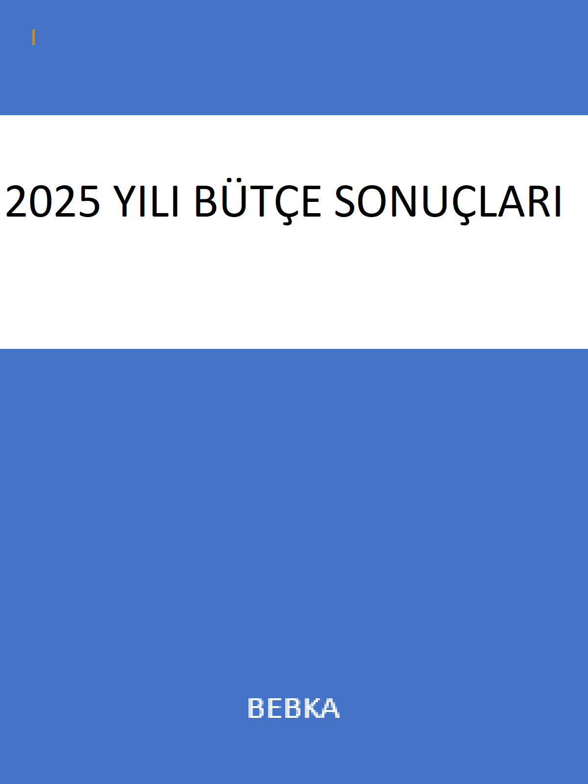 2025 Yılı Bütçe Sonuçları – 1. Çeyrek